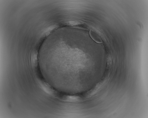 X0000113950360200910091613