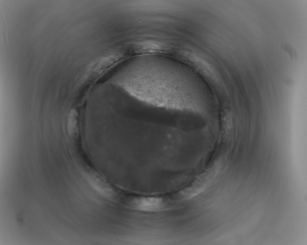 X0000113950361200910091613