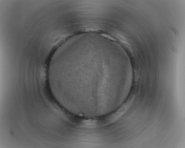 X0000113950362200910091613
