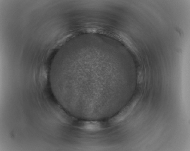 X0000113950363200910091613