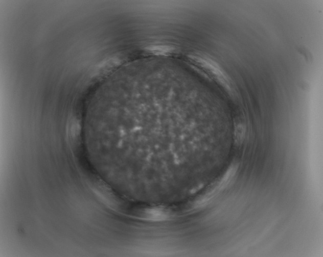X0000113950365200910091613