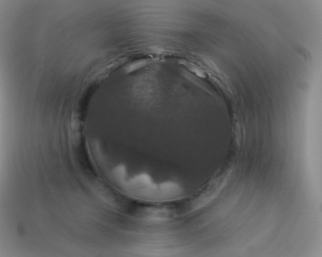 X0000113950366200910091613