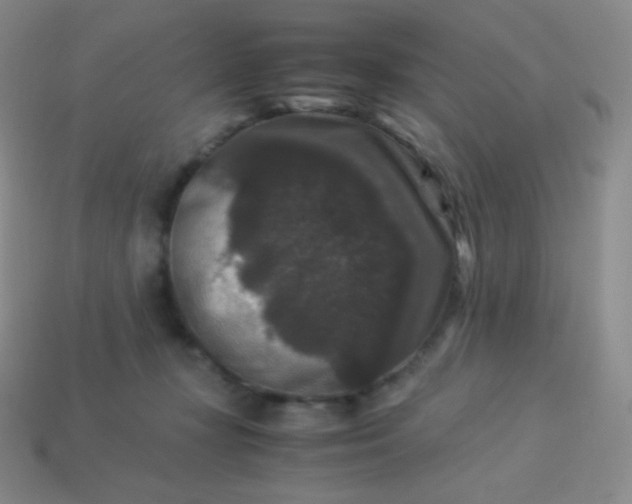 X0000113950367200910091613