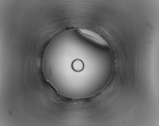 X0000113950368200910091613
