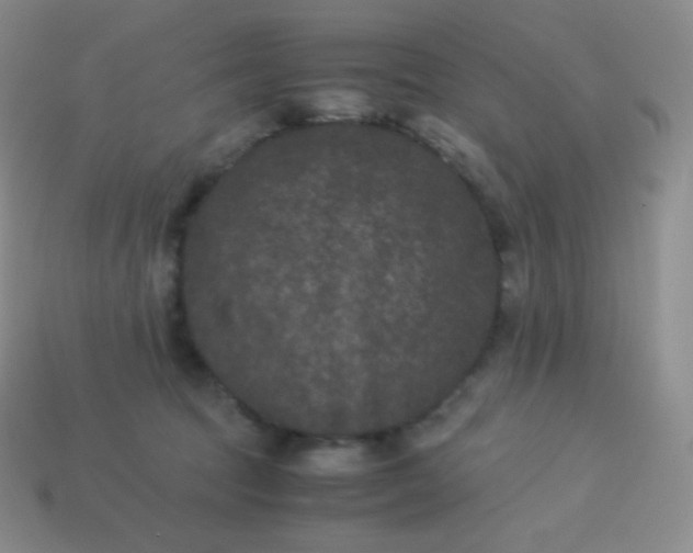 X0000113950369200910091613