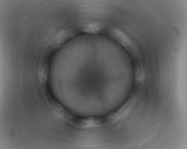 X0000113950370200910091614