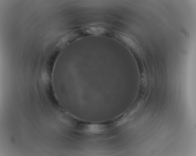X0000113950371200910091614