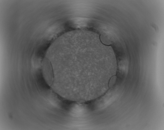 X0000113950372200910091614