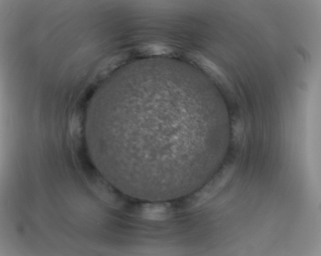 X0000113950373200910091614