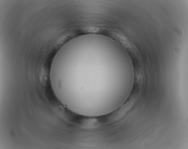X0000113950374200910091614