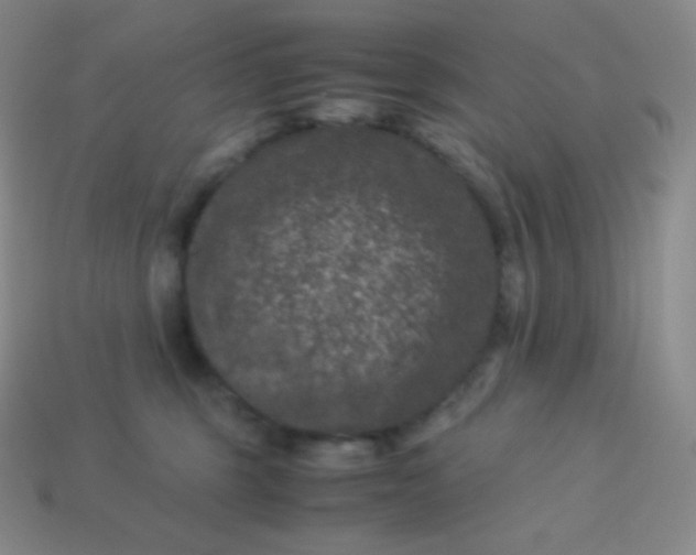 X0000113950375200910091614