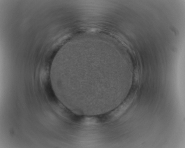 X0000113950376200910091614