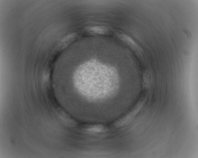 X0000113950377200910091614