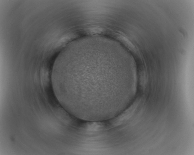 X0000113950378200910091614