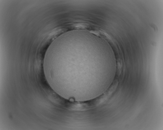 X0000113950379200910091614