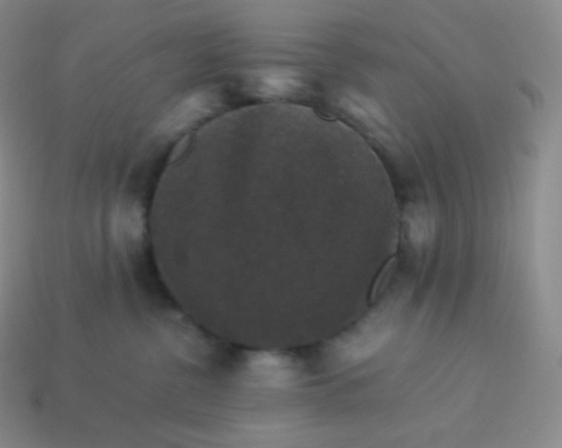 X0000113950380200910091614