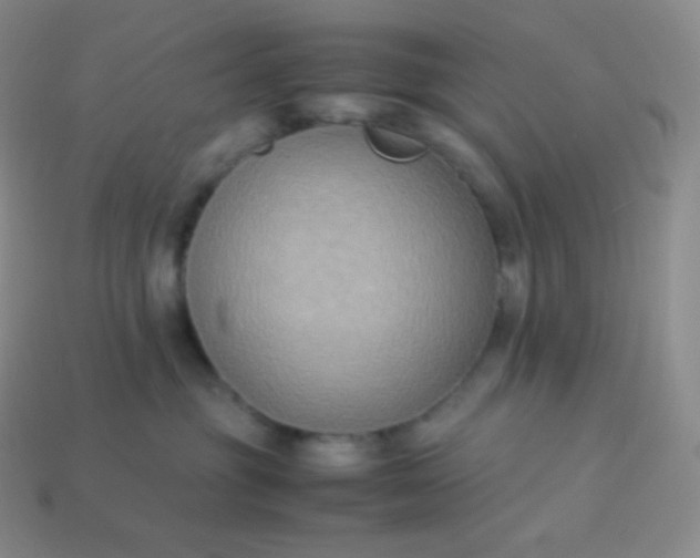 X0000113950381200910091614