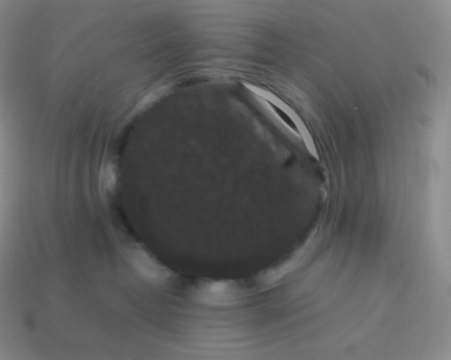 X0000113950382200910091614