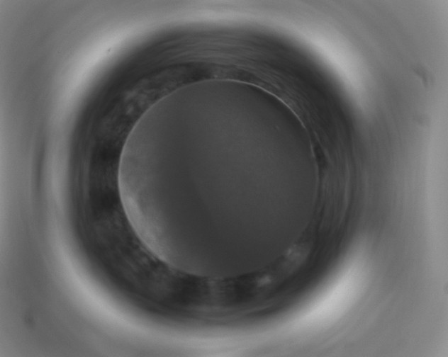 X0000113950383200910091614