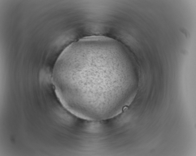 X0000113950384200910091614