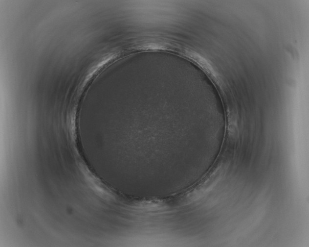 X0000113950386200910091613