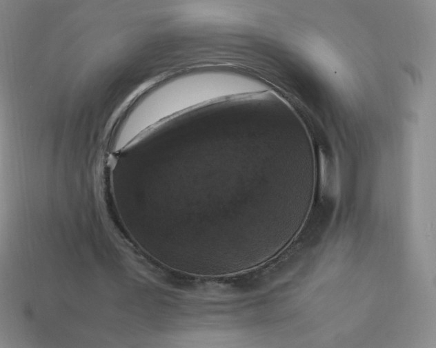 X0000113950387200910091613