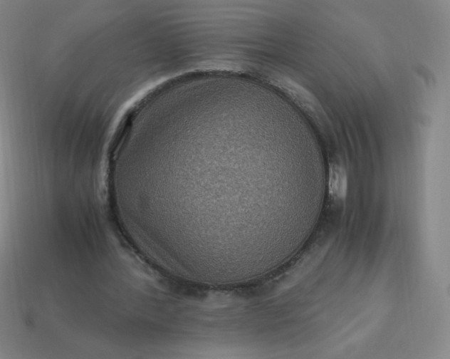X0000113950388200910091613