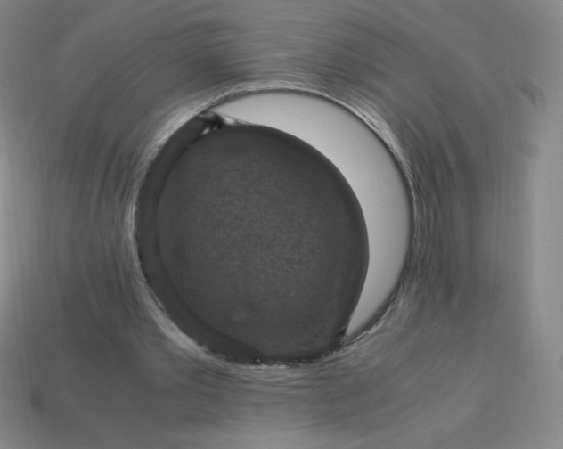 X0000113950389200910091613