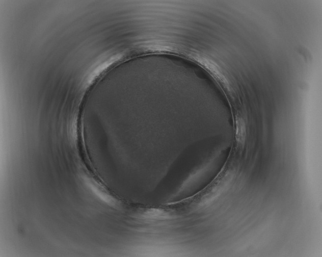 X0000113950390200910091613