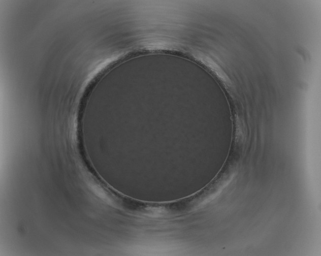 X0000113950391200910091613