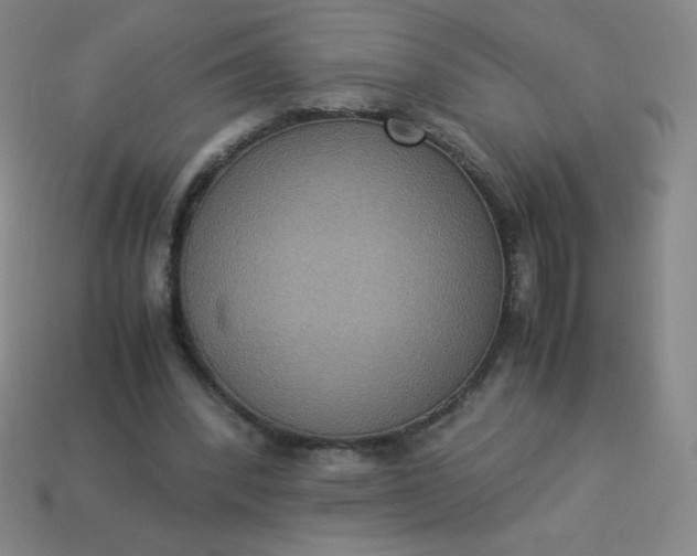 X0000113950392200910091613