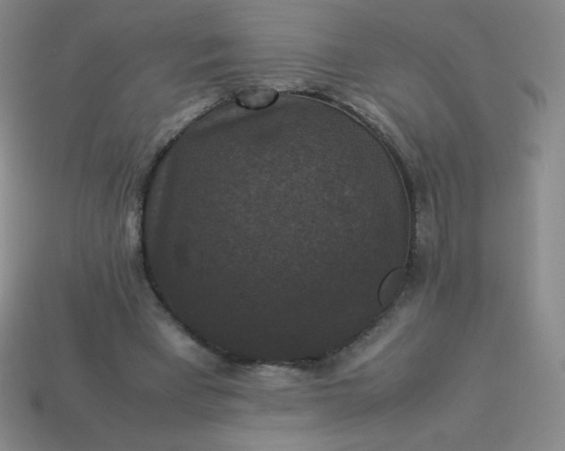 X0000113950393200910091613