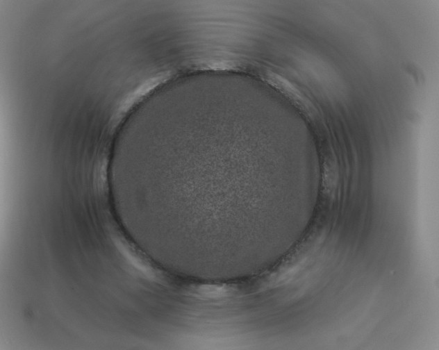 X0000113950394200910091613