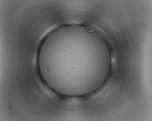 X0000113950396200910091613