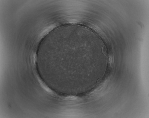 X0000113950397200910091613