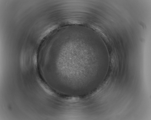X0000113950398200910091613