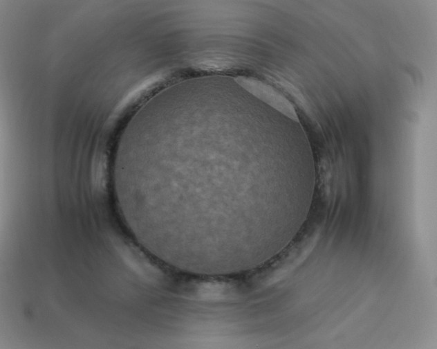 X0000113950400200910091613