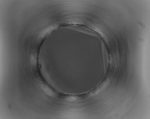 X0000113950402200910091613