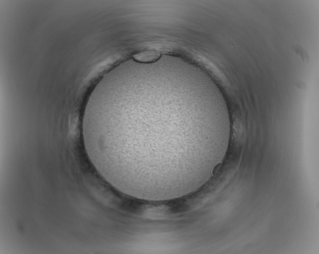 X0000113950403200910091613