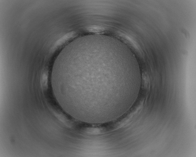 X0000113950404200910091613