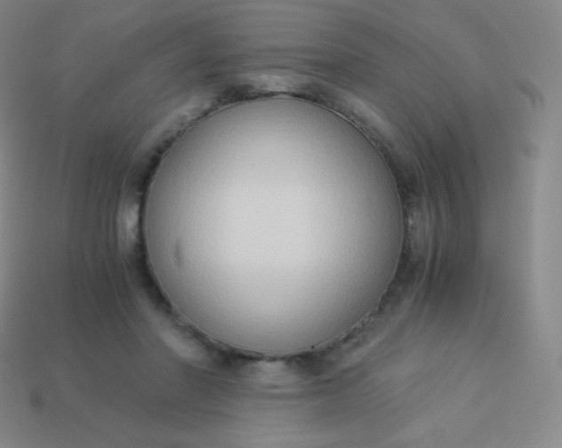 X0000113950406200910091613
