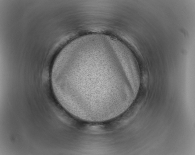 X0000113950407200910091613