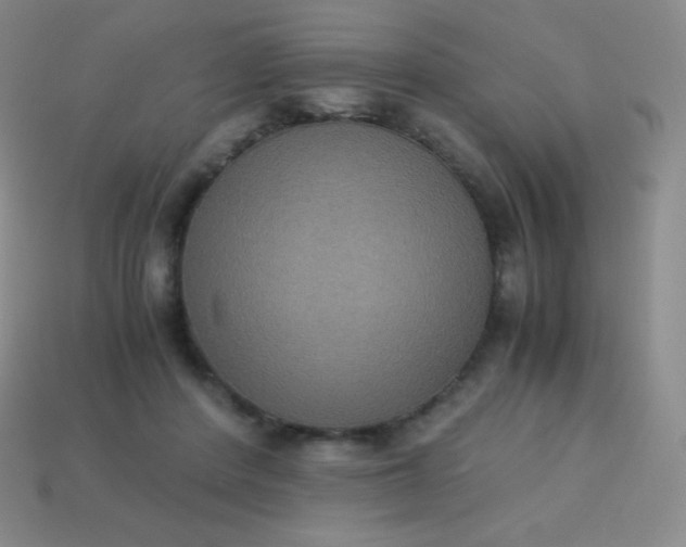 X0000113950408200910091613