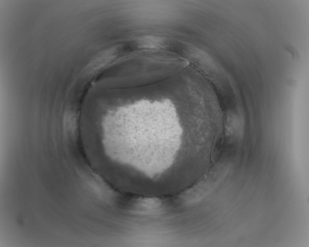 X0000113950409200910091613