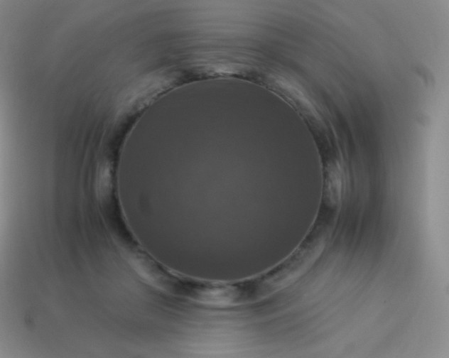 X0000113950410200910091613