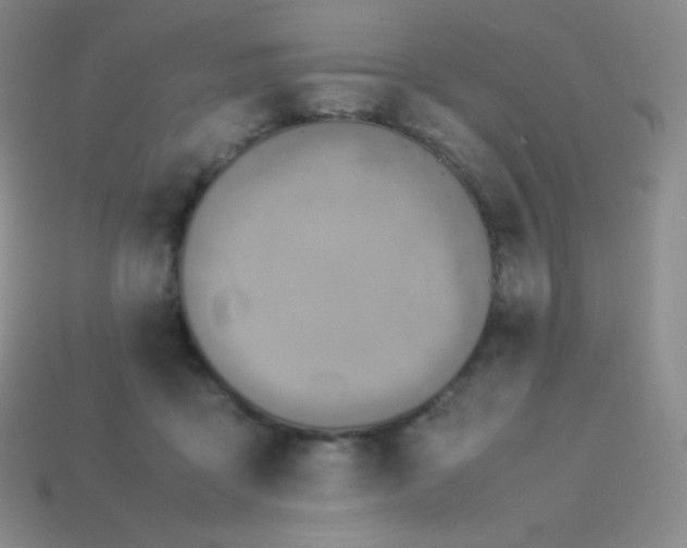 X0000113950411200910091613