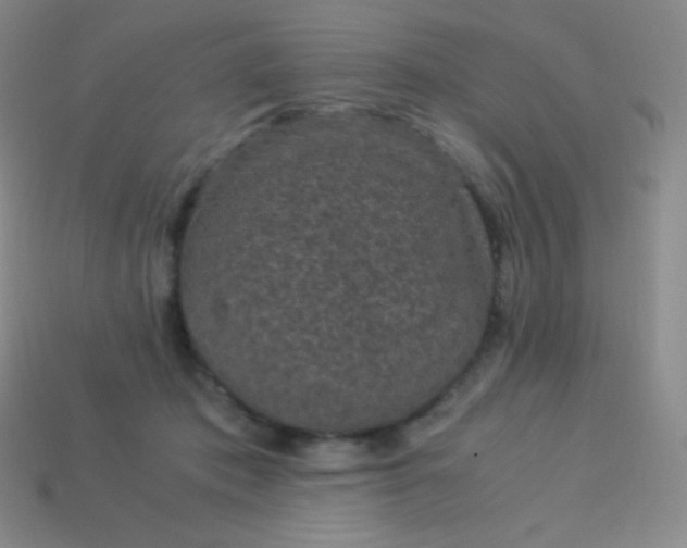 X0000113950413200910091613