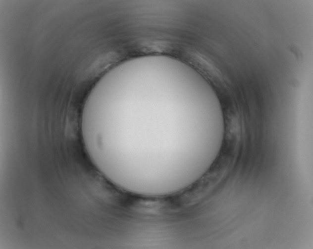 X0000113950414200910091613