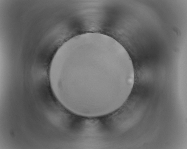 X0000113950415200910091613