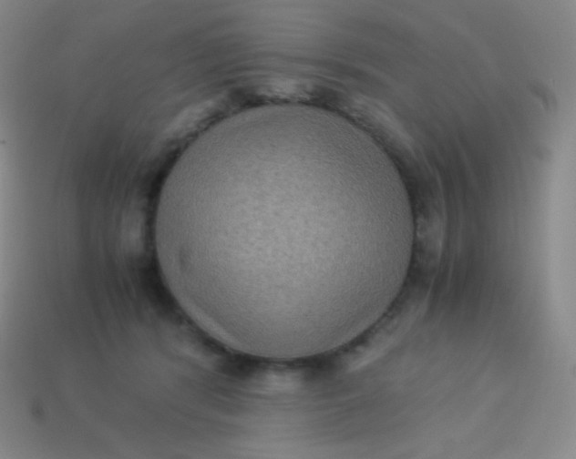 X0000113950416200910091613
